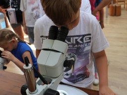 Półkolonie letnie 2025